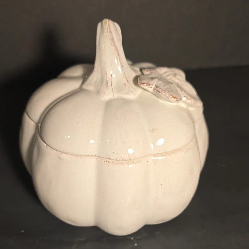 Pier‎ 1 Hand Painted Dolomite Ceramic Lidded Distressed White Pumpkin